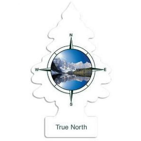 Car Freshner U2S27146 True North Air Freshener - Pack of 2