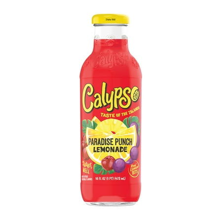 Calypso Paradise Punch Lemonade 16oz Btl