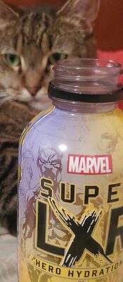 Arizona LXR Peach Mango 16oz