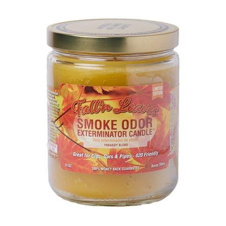 Smoke Odor Exterminator 13oz Jar Candles (Fall N Leaves  1)  13 Ounce