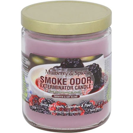 Smoke Odor Exterminator Odor Exterminator Mulberry and Spice 13oz by Smokers Candle  13 oz
